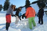 iglubauen iglu bernachtung